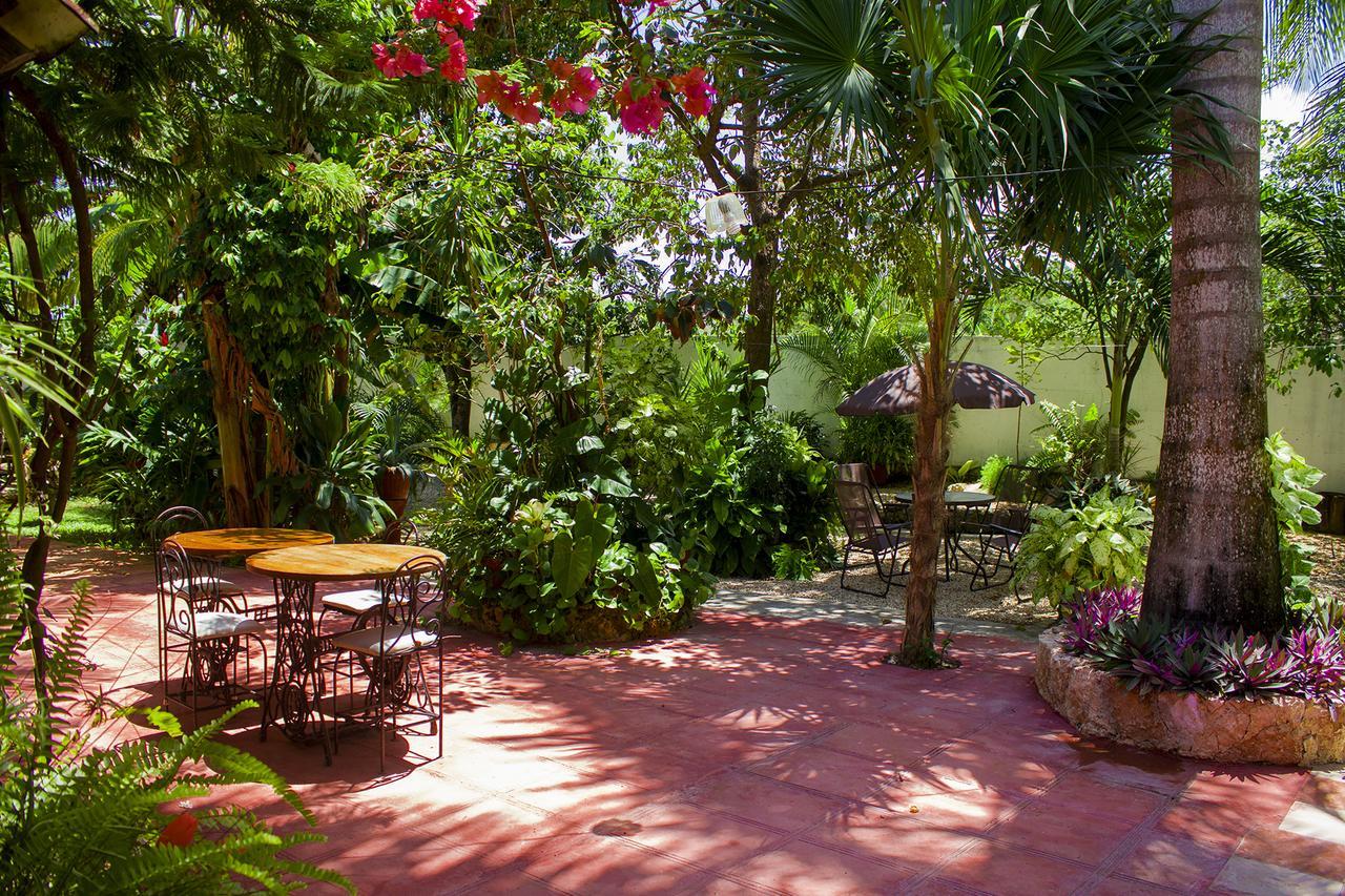 Casa De Los Pájaros - B&B Valladolid  Exterior foto